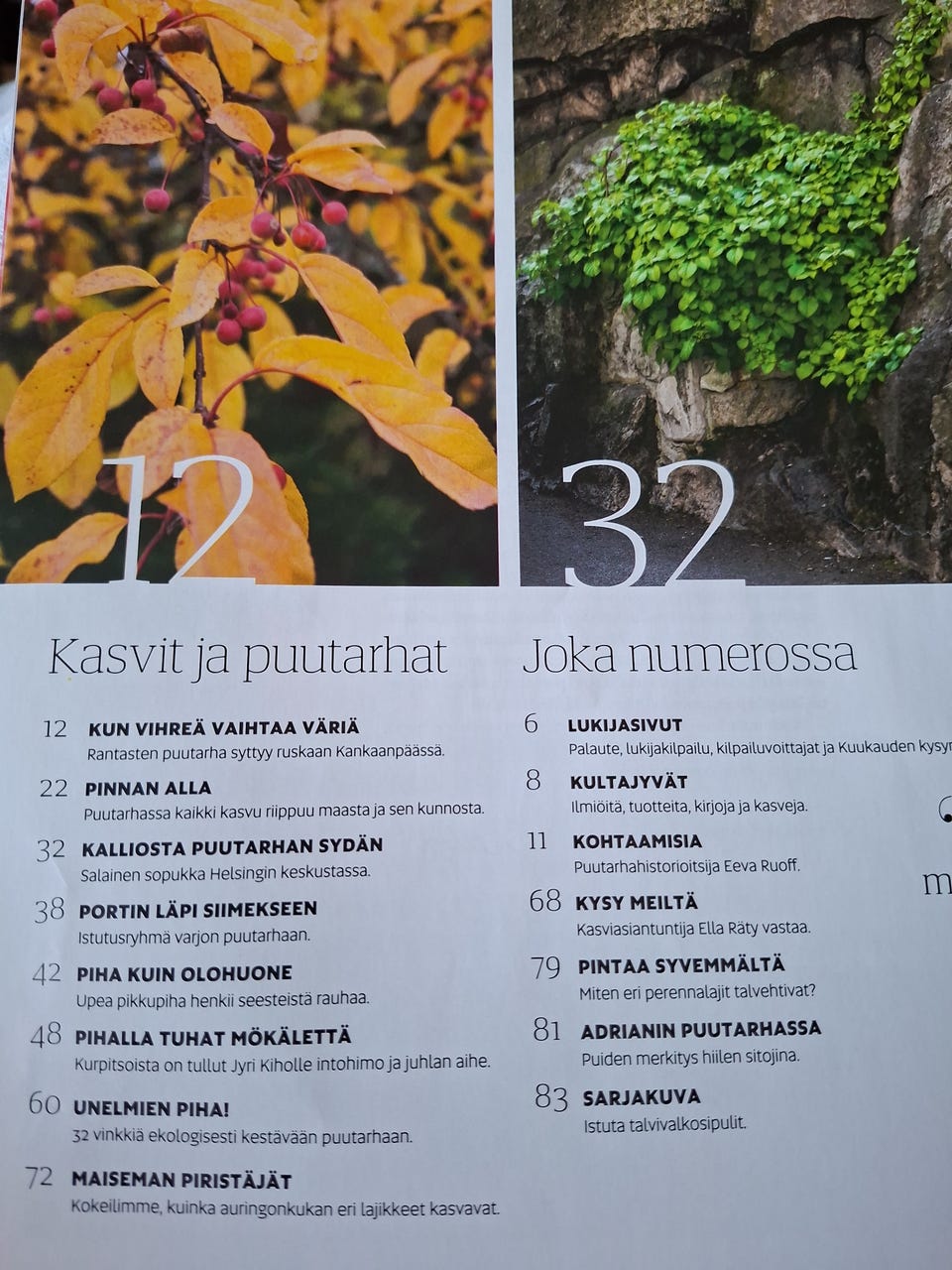Kuvagalleria