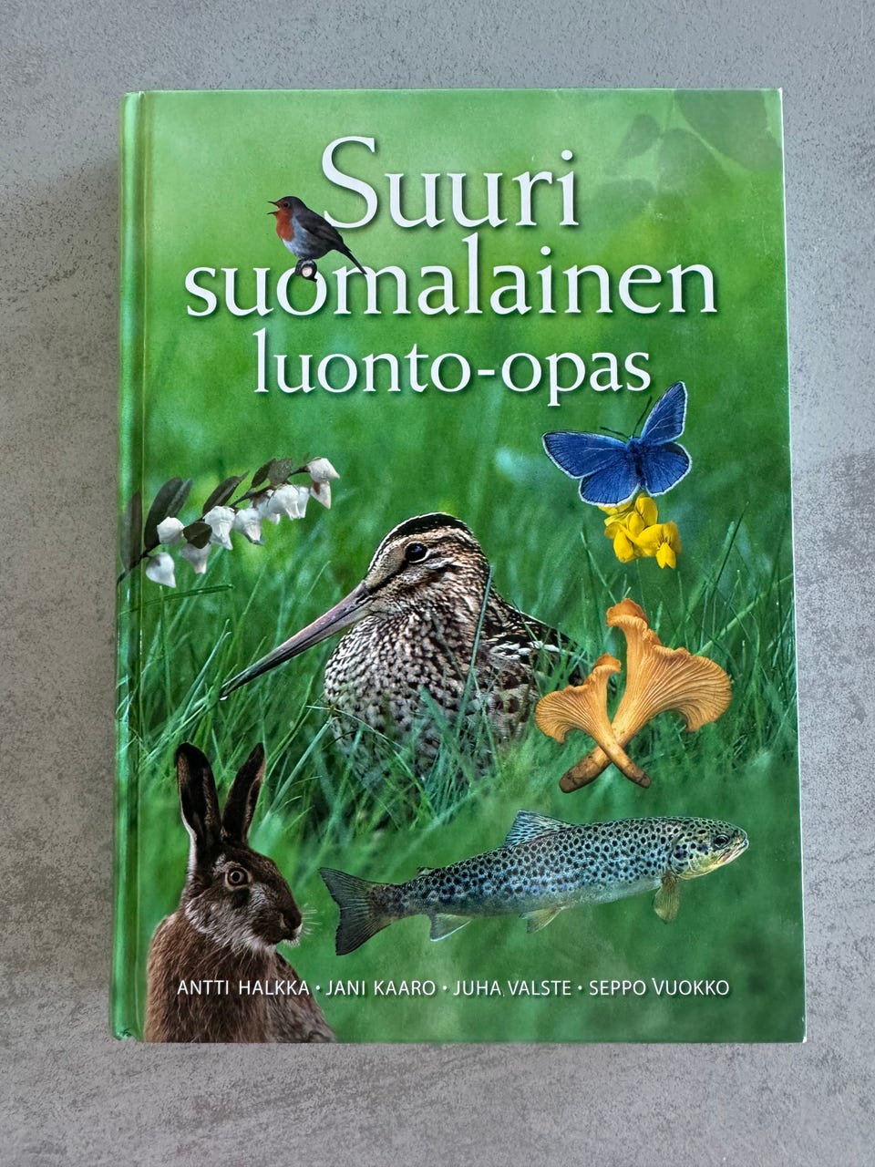 Kuvagalleria
