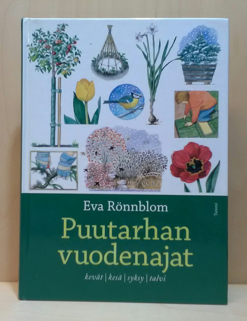 Kuvagalleria