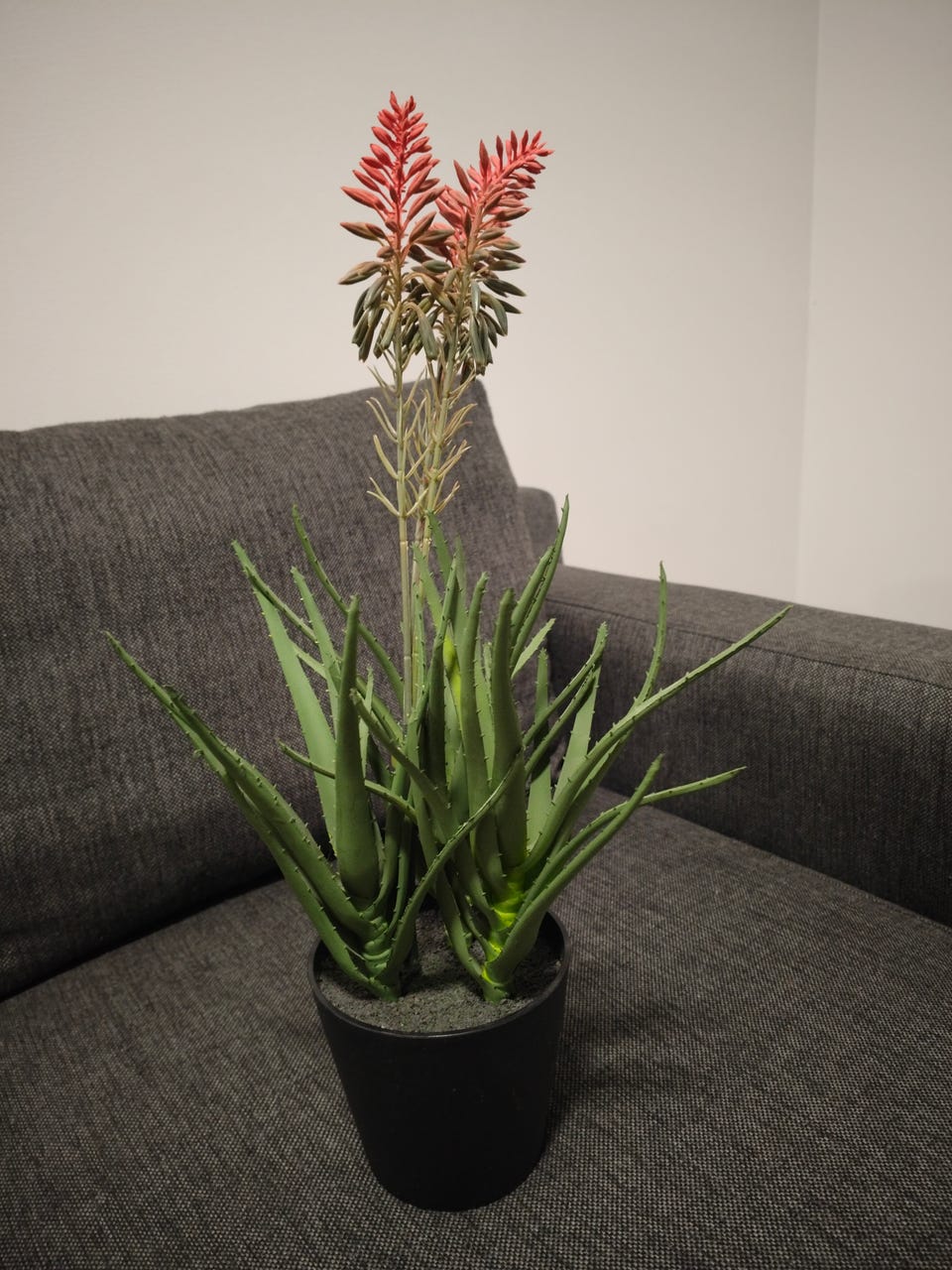 Jysk Artificial plant | Tori