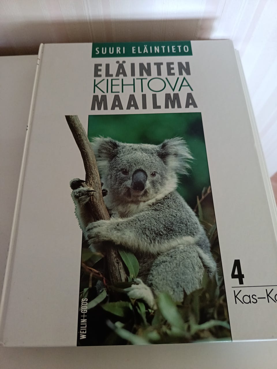 Kuvagalleria