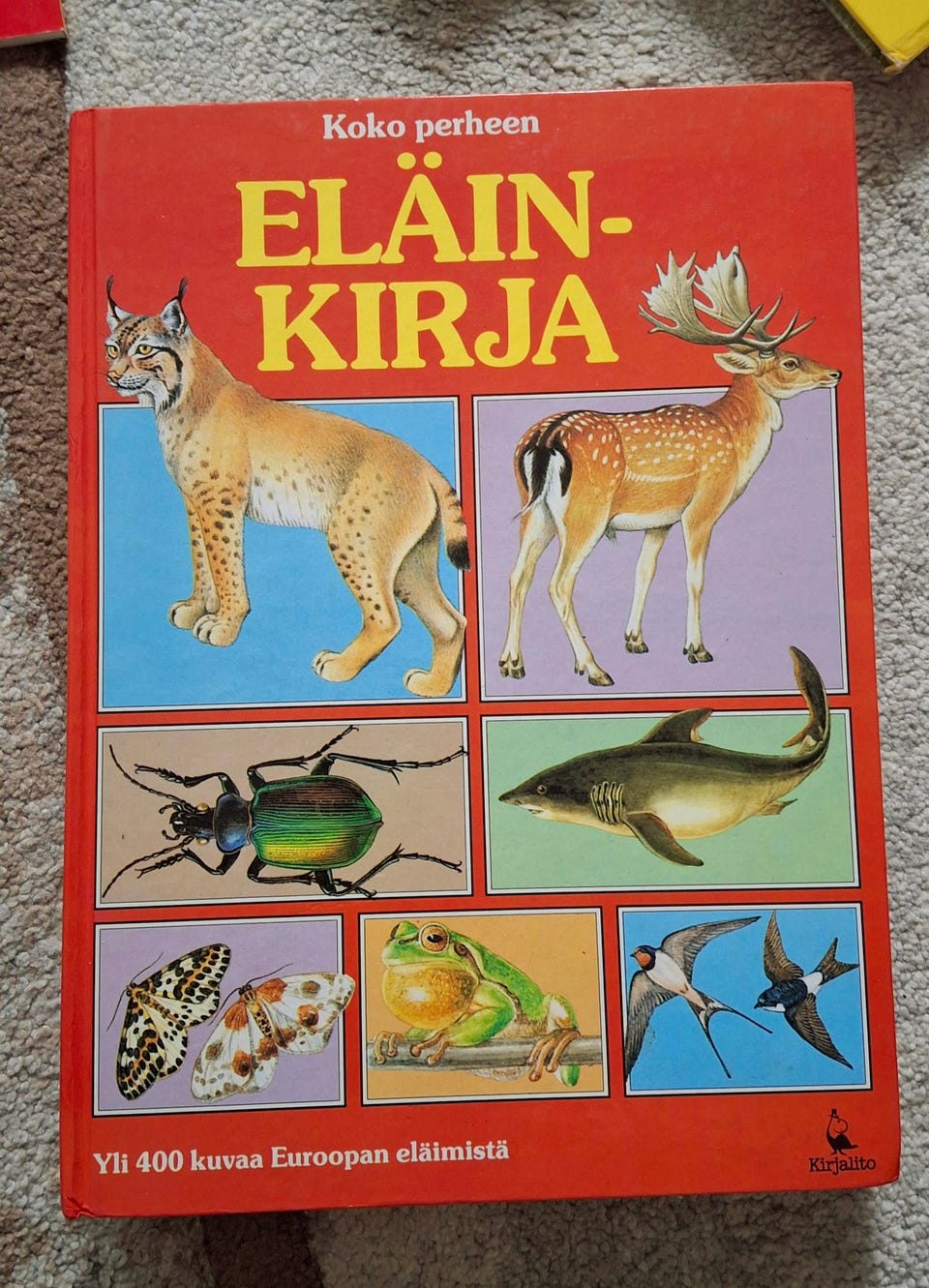 Kuvagalleria