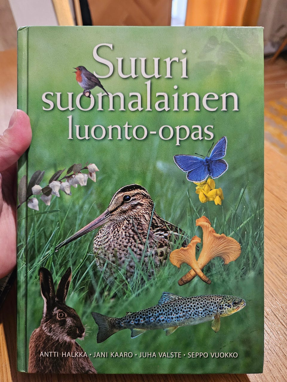 Kuvagalleria