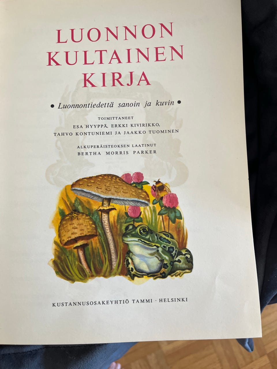 Kuvagalleria
