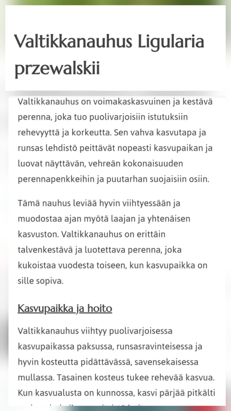 Kuvagalleria