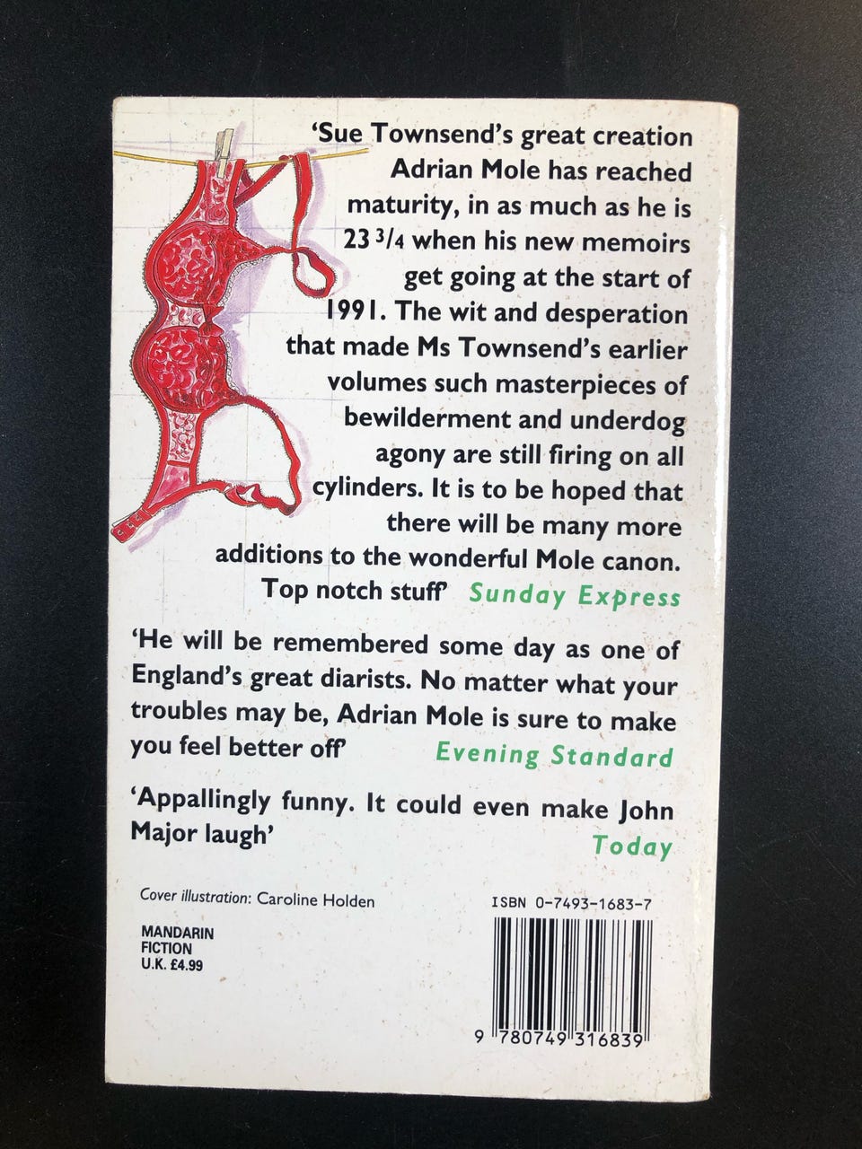 Adrian Mole - The Wilderness Years by Sue Townsend (Book in