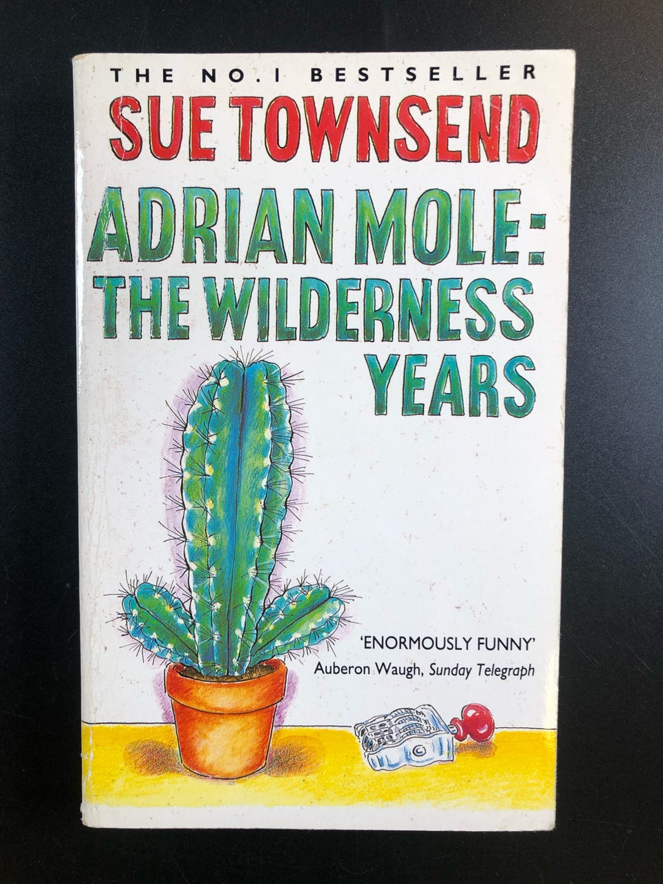 Adrian Mole - The Wilderness Years by Sue Townsend (Book in