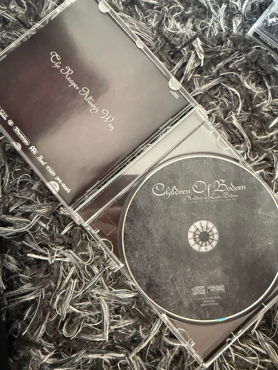 洋楽 Children Of Bodom Holiday at Lake Bodom Children Of Bodom Holiday at Lake Bodom (15 Years of Wasted Youth