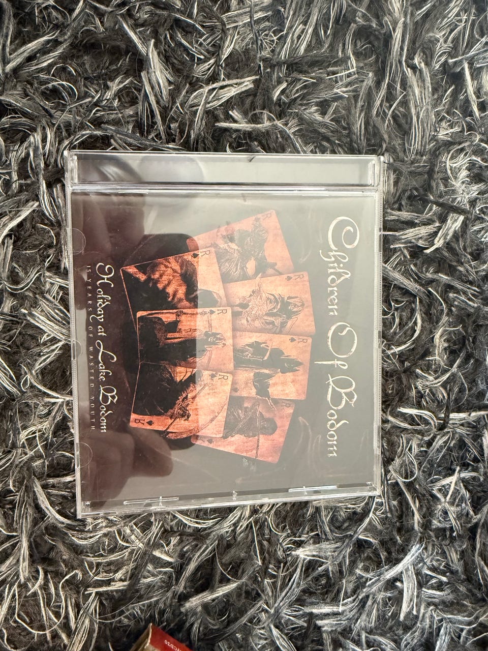Children Of Bodom Holiday at Lake Bodom (15 Years of Wasted Youth