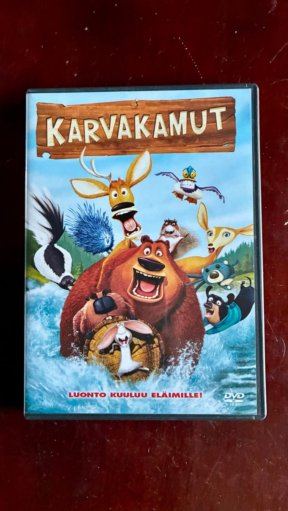 Kuvagalleria