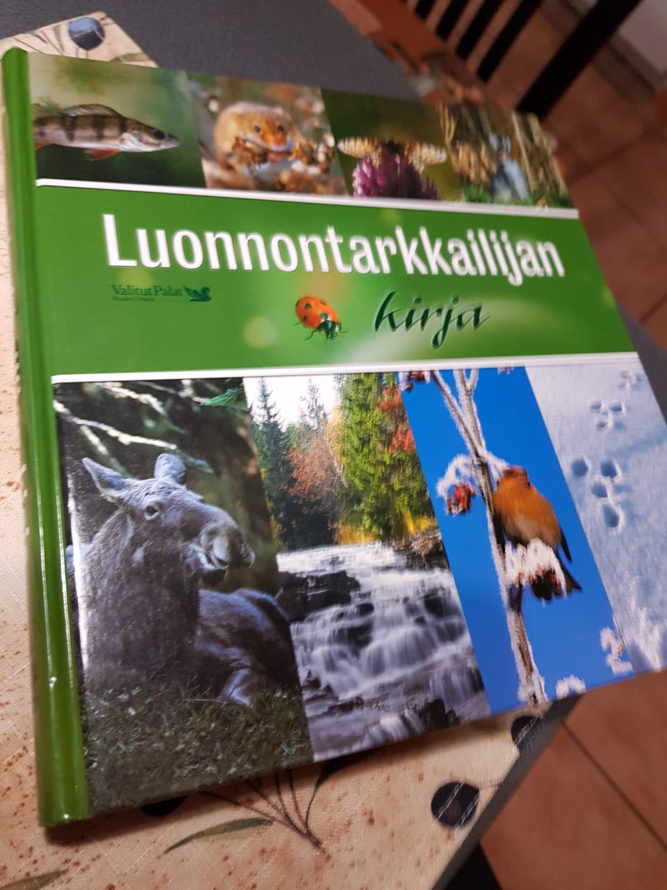 Kuvagalleria