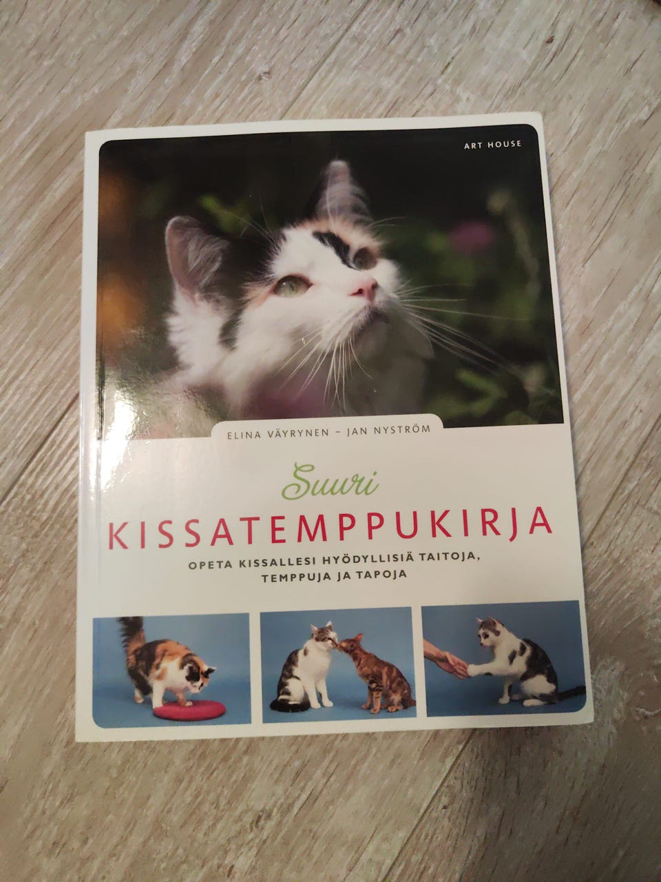 Kuvagalleria