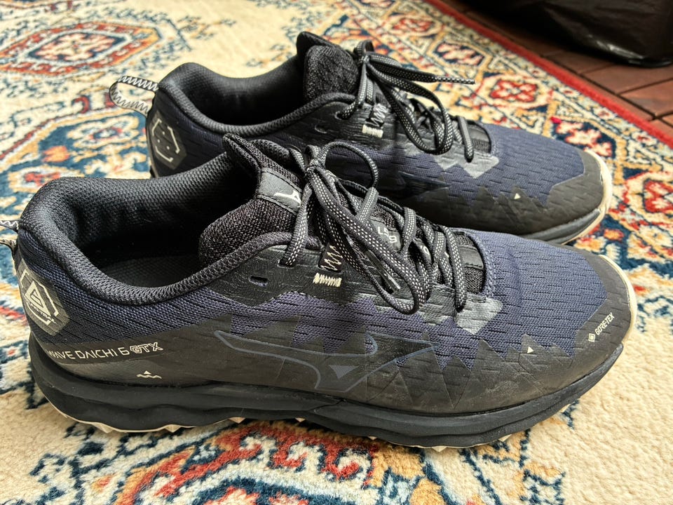 Mizuno Wave Daichi 6 Gore-Tex | Tori