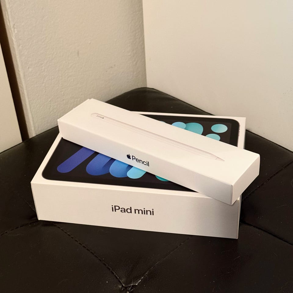 Ipad Mini 6th gen (2021) 64GB Wifi+Cellular(5G) + Apple Pencil 2