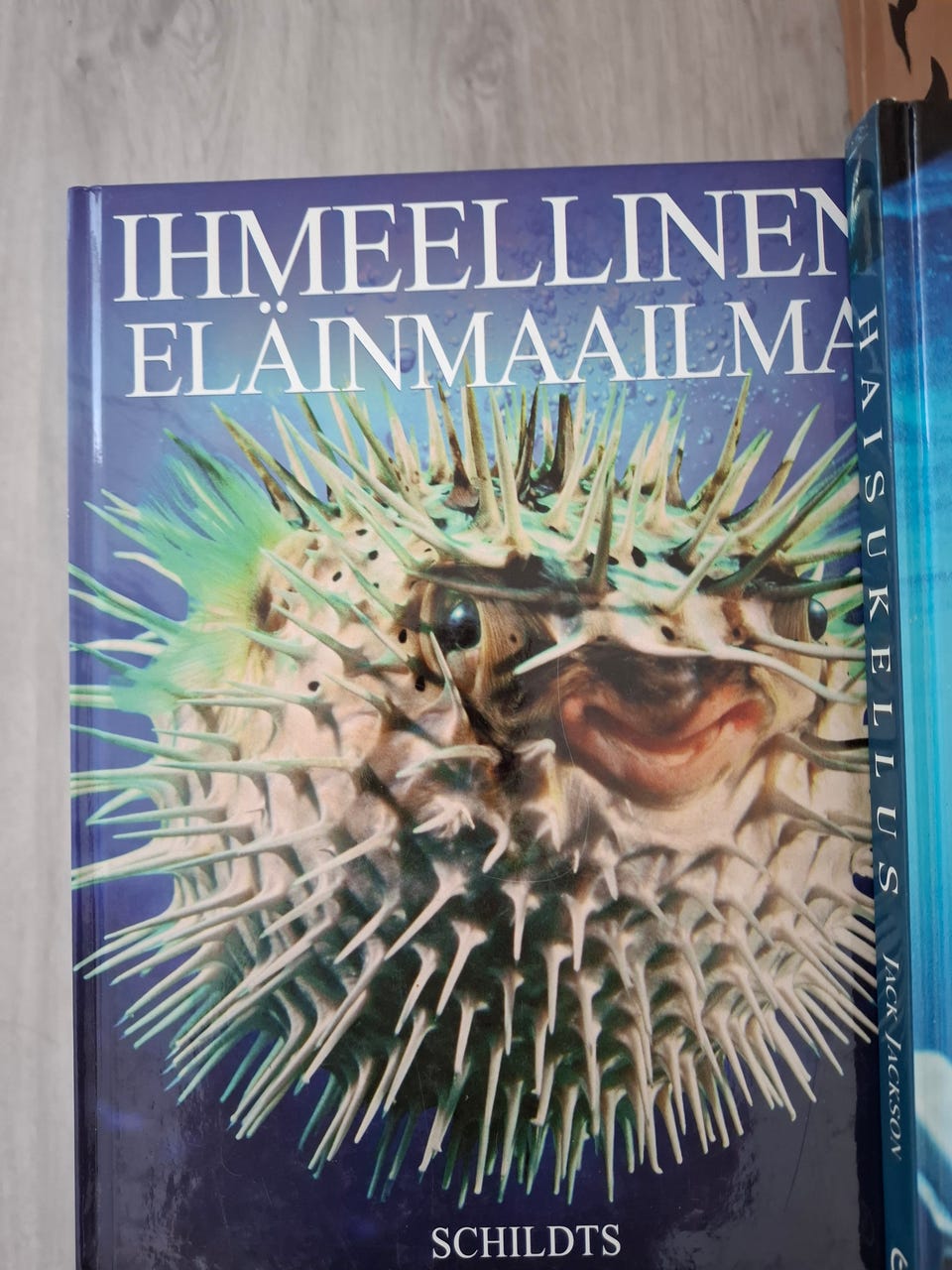 Kuvagalleria