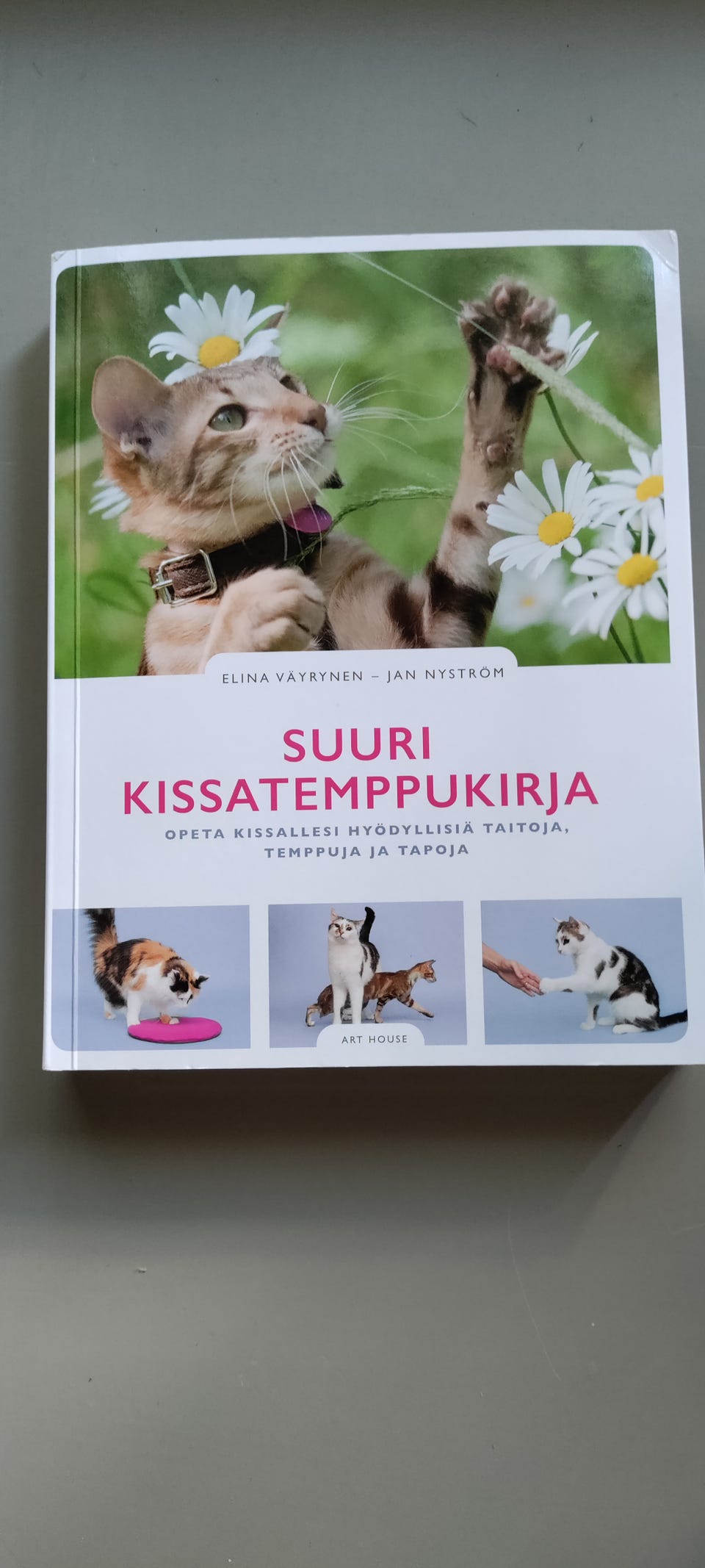 Kuvagalleria