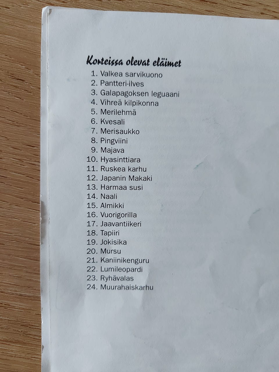 Kuvagalleria