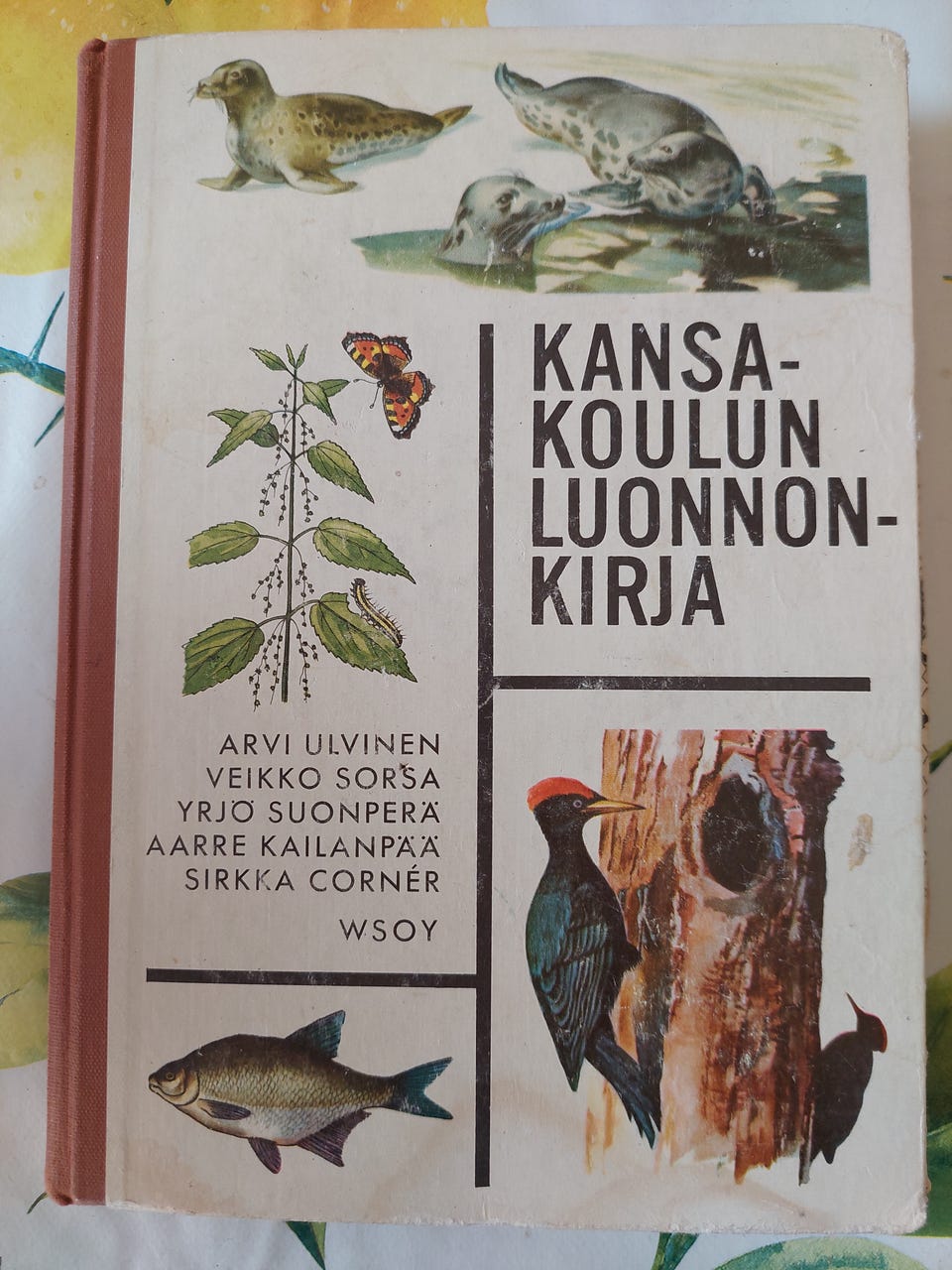 Kuvagalleria