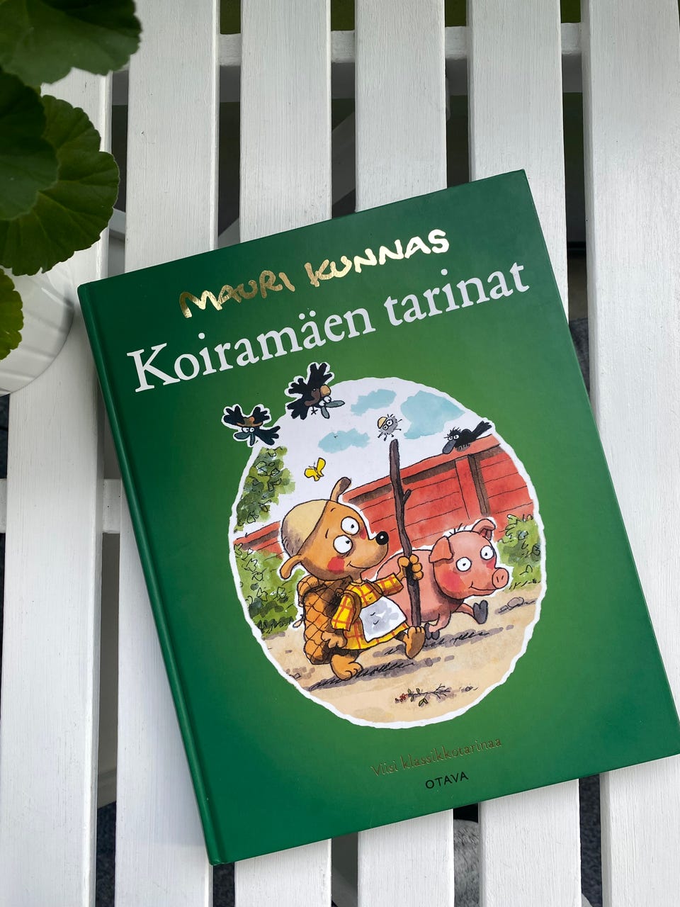 Kuvagalleria