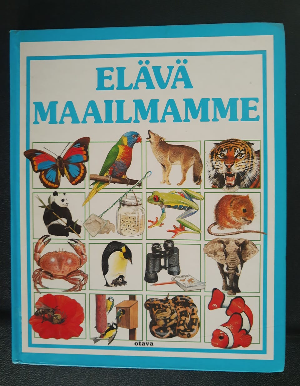 Kuvagalleria