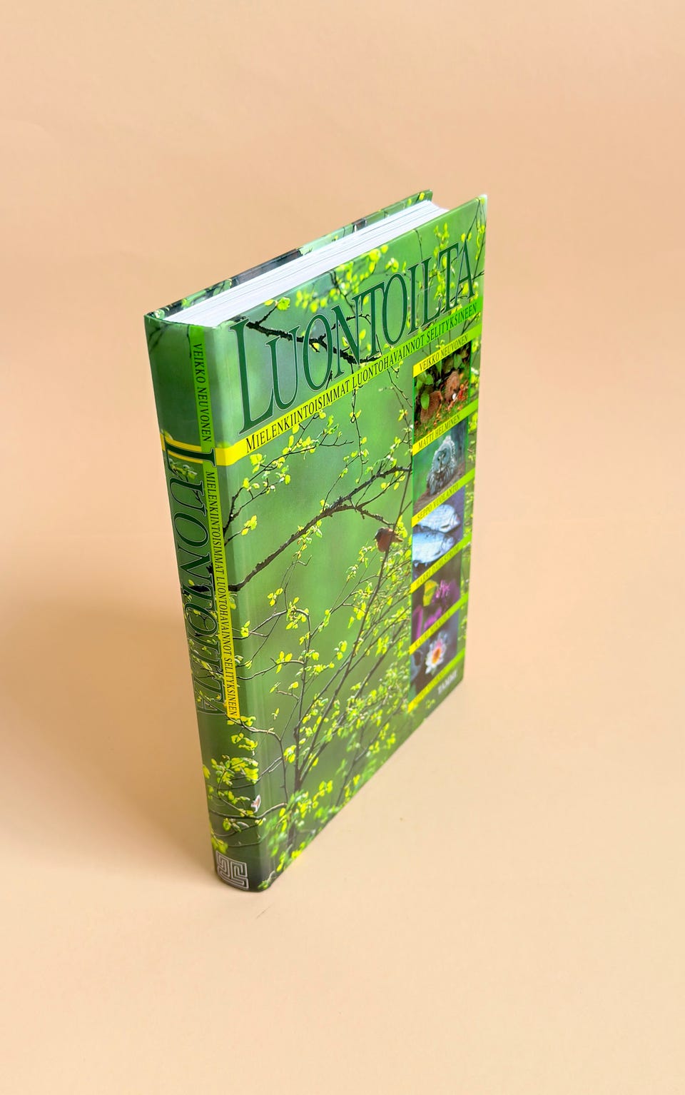 Kuvagalleria