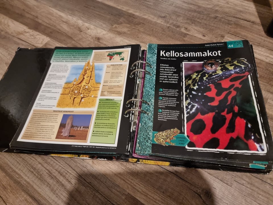 Kuvagalleria