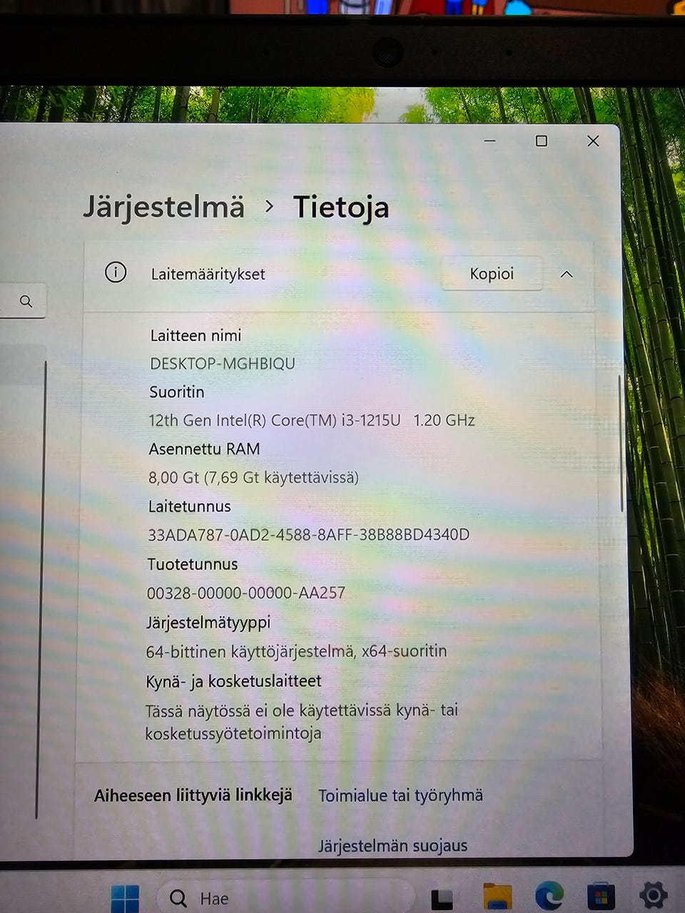 Kuvagalleria