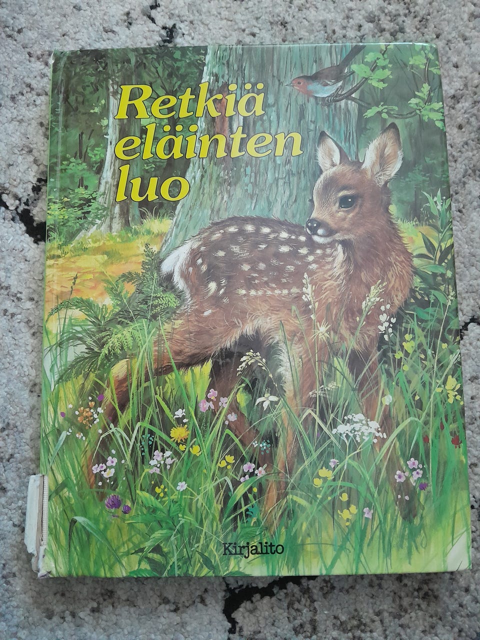 Kuvagalleria