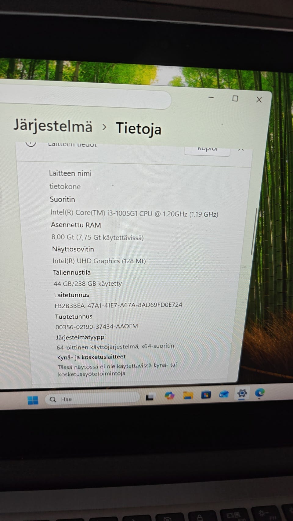 Kuvagalleria