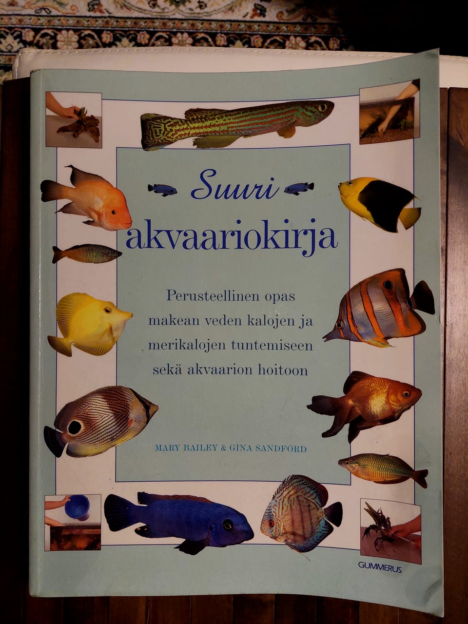 Kuvagalleria