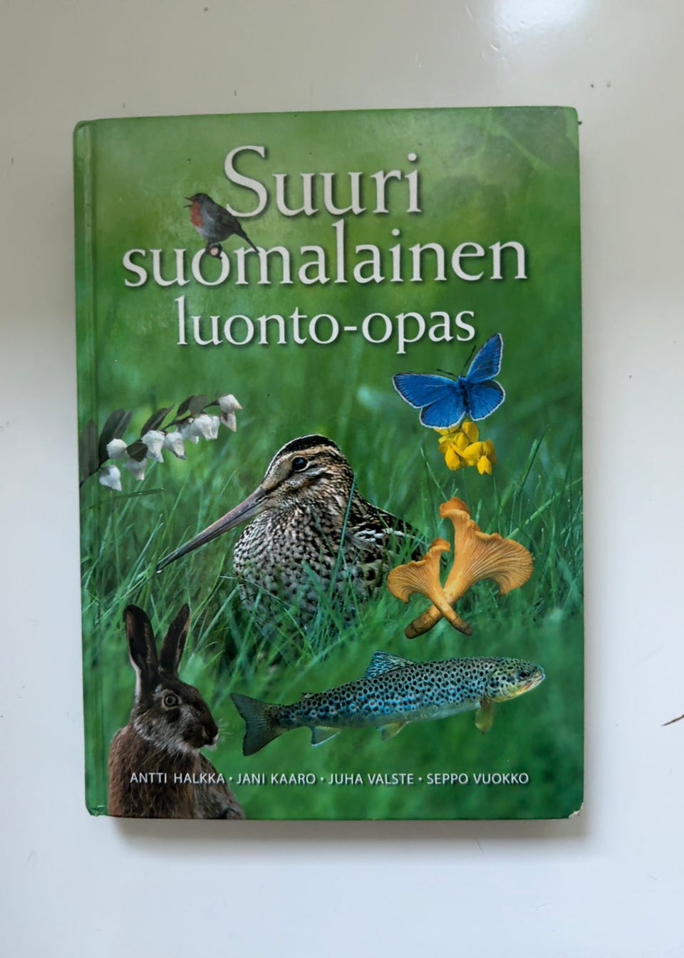 Kuvagalleria