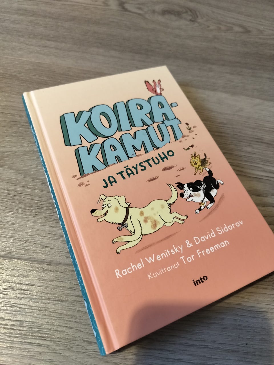 Kuvagalleria