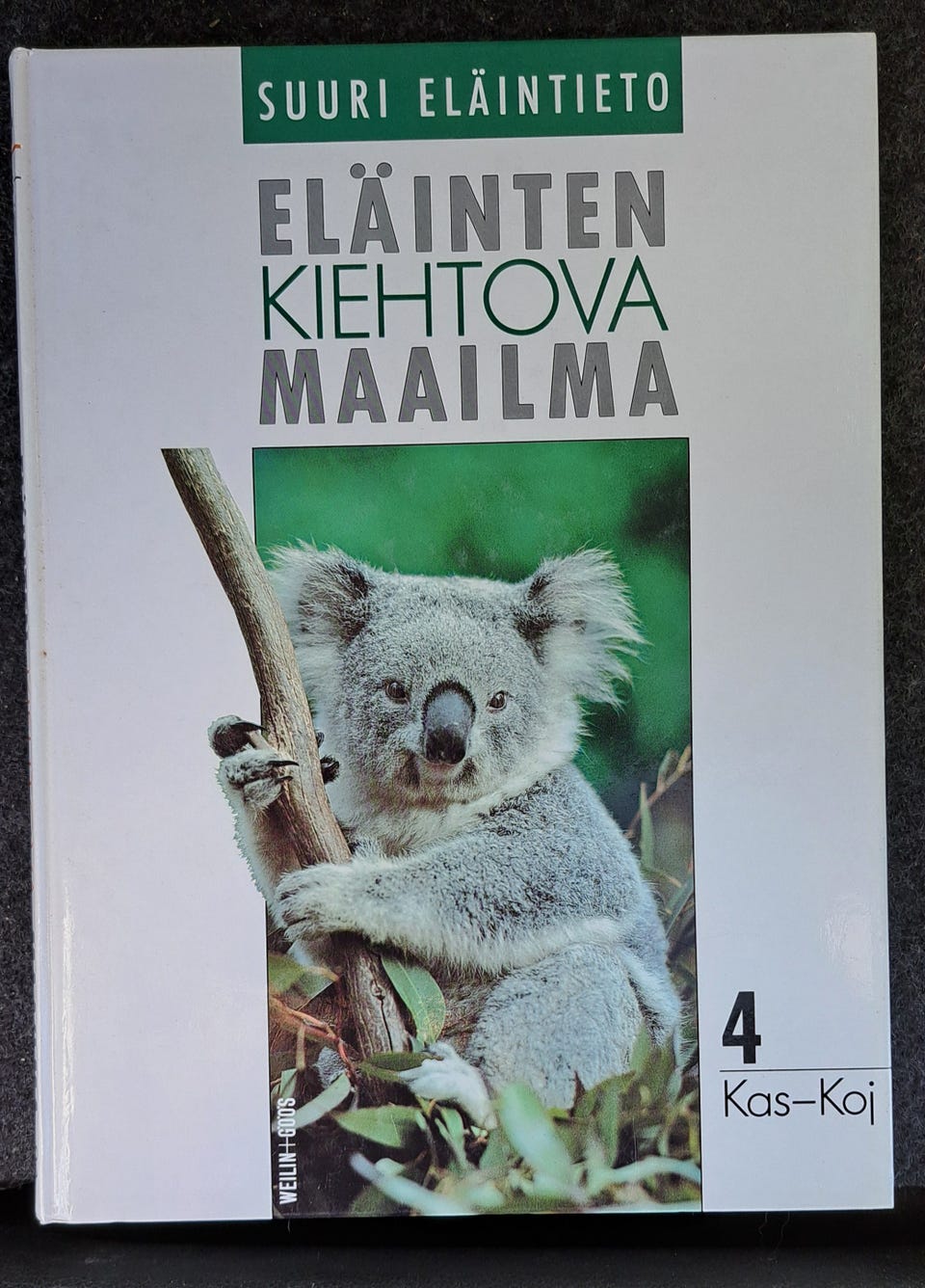 Kuvagalleria