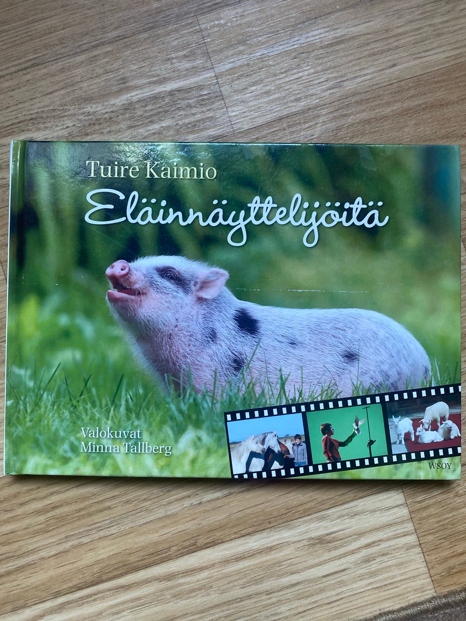 Kuvagalleria