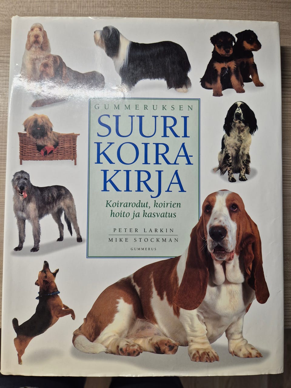 Kuvagalleria