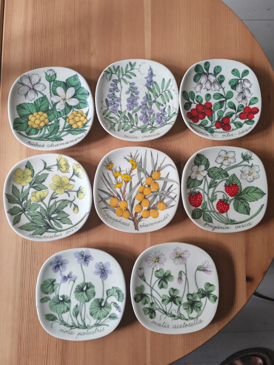 Arabia Botanica-sarjan seinälautasia - Esteri Tomula - 8 kpl | Tori