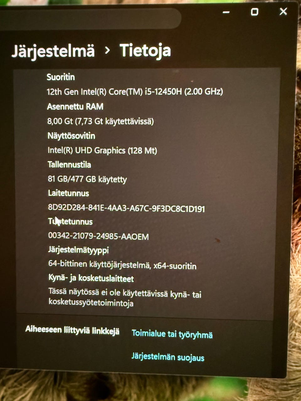 Kuvagalleria