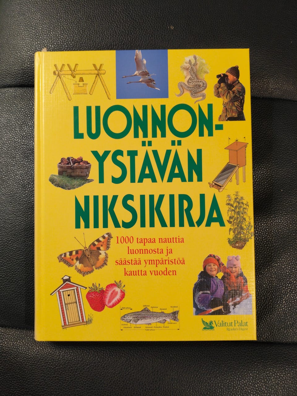 Kuvagalleria