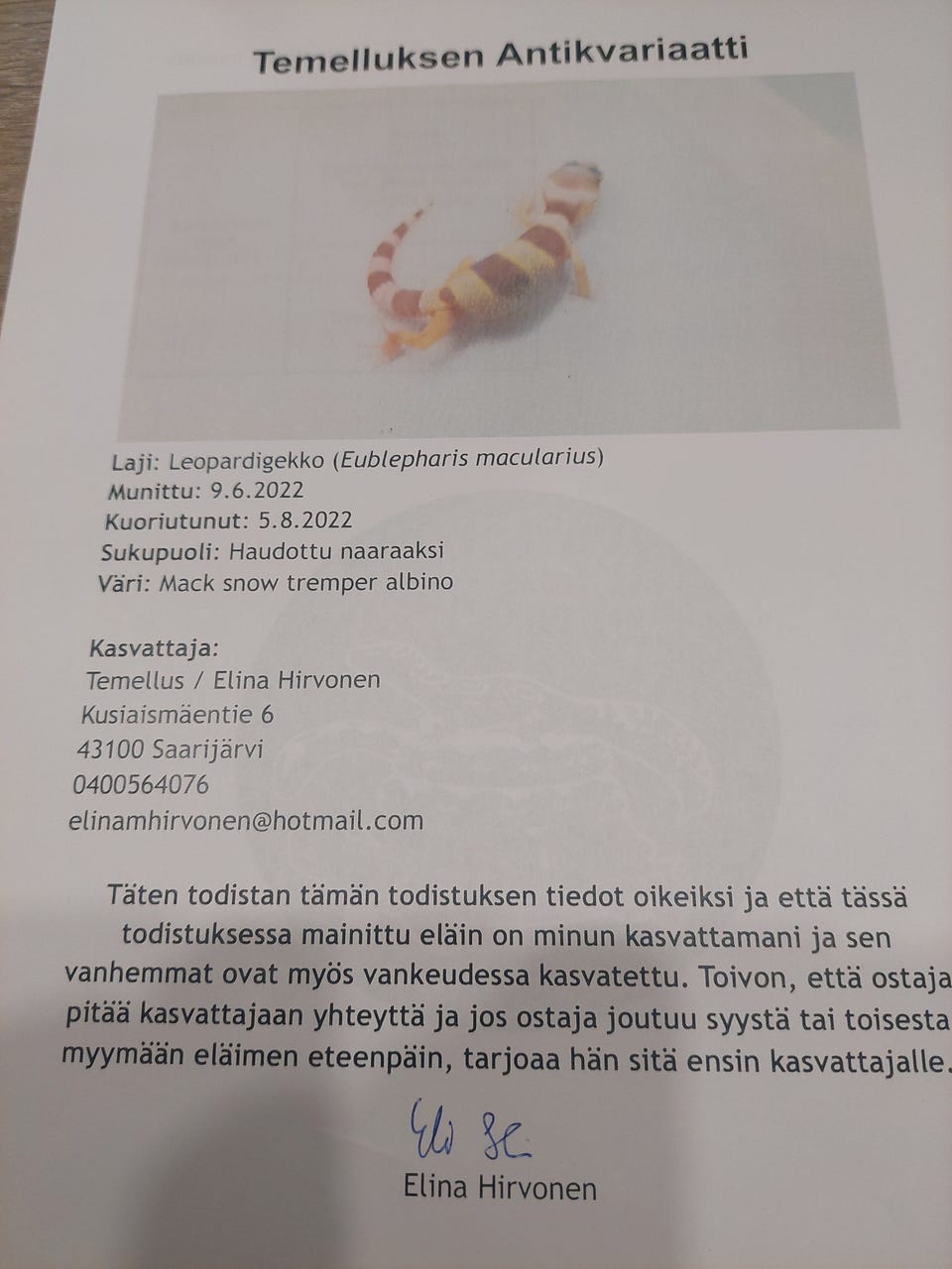 Kuvagalleria