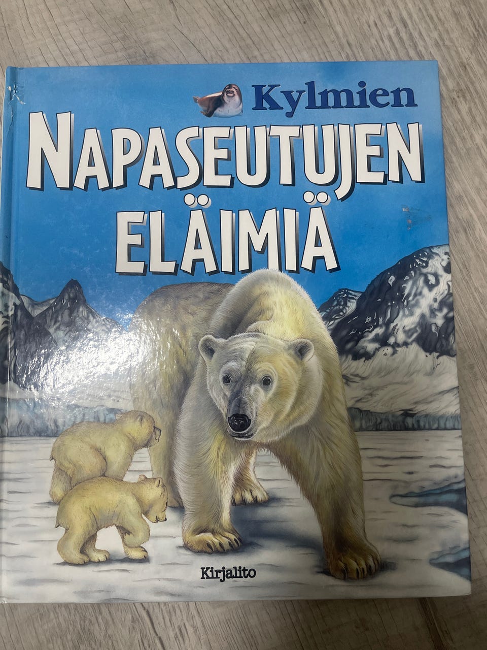 Kuvagalleria