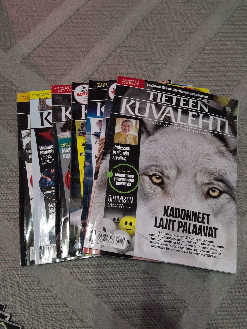Kuvagalleria