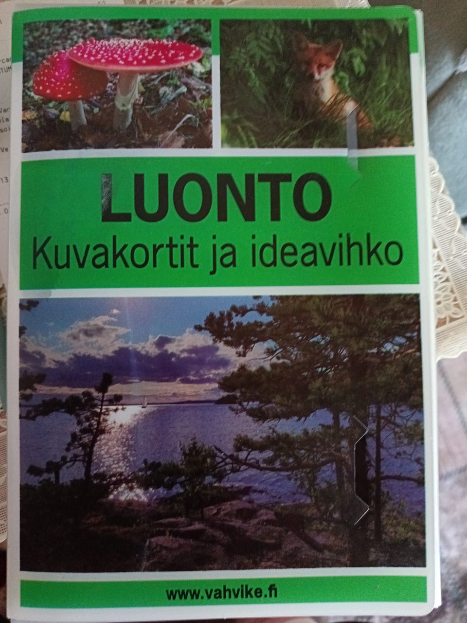 Kuvagalleria