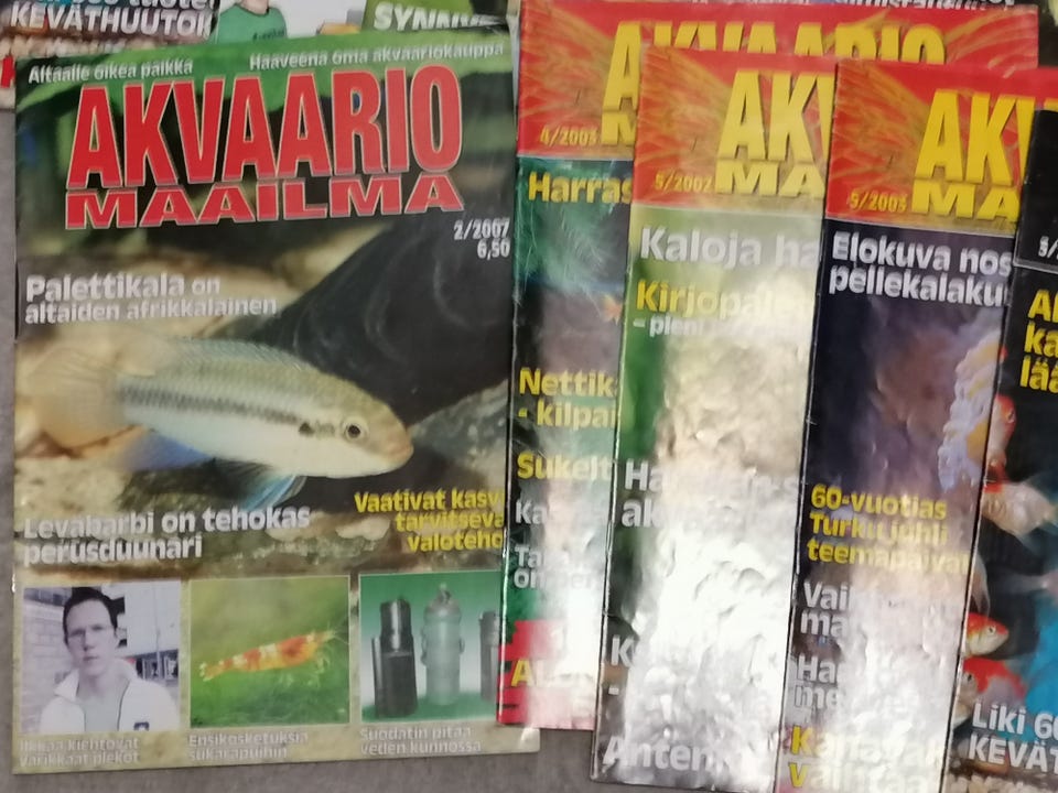Kuvagalleria