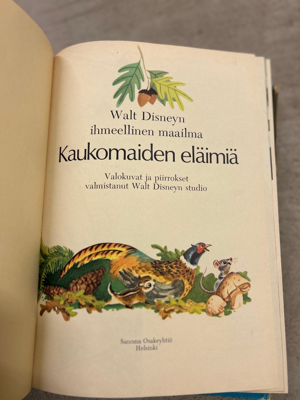 Kuvagalleria