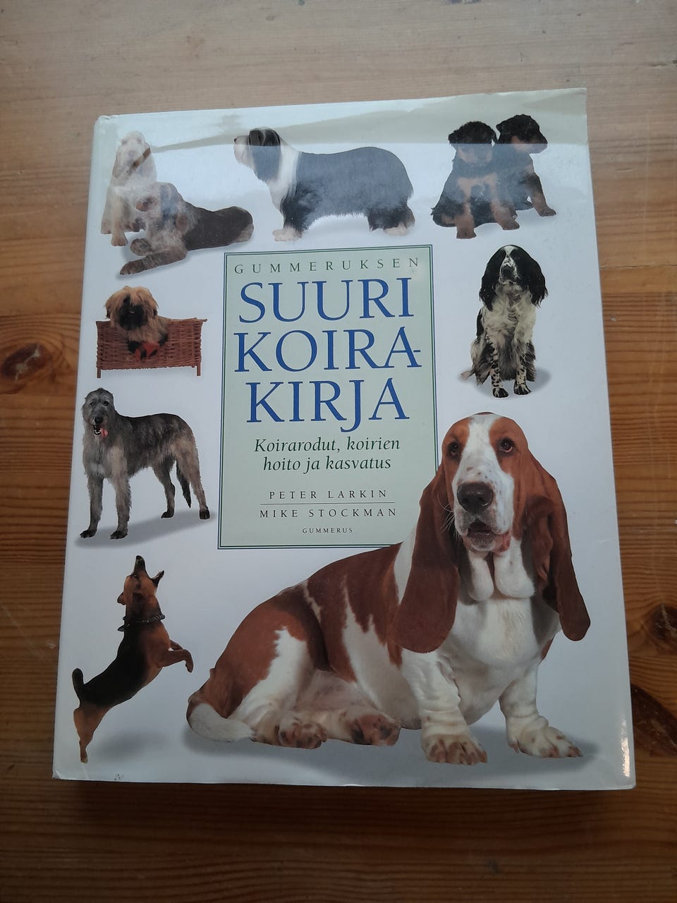 Kuvagalleria