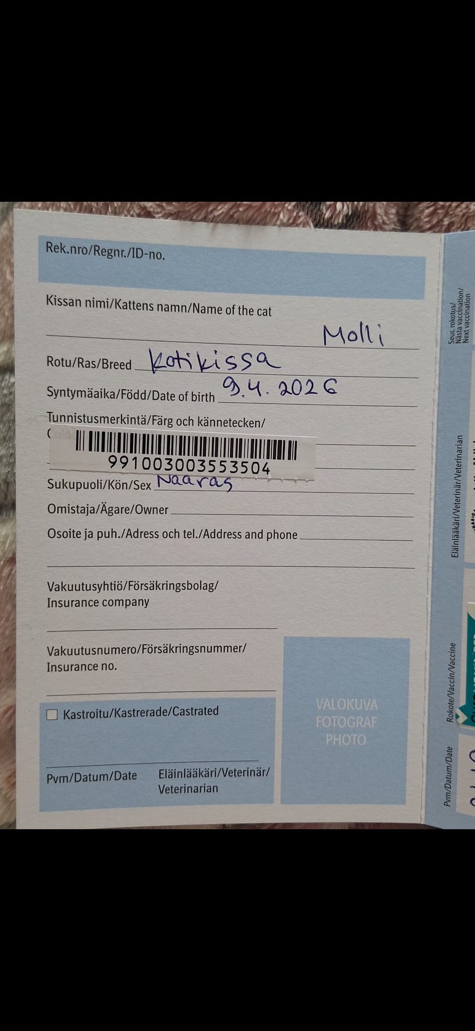 Kuvagalleria
