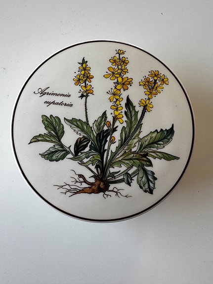 Villeroy & Boch Botanica