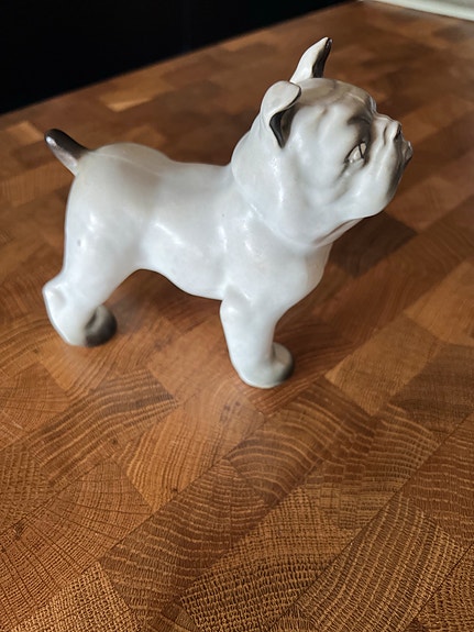 Arabia Bulldog