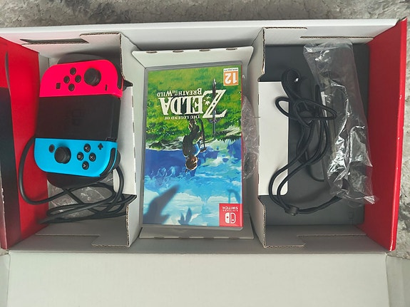 Nintendo switch