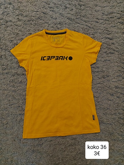 T-paida